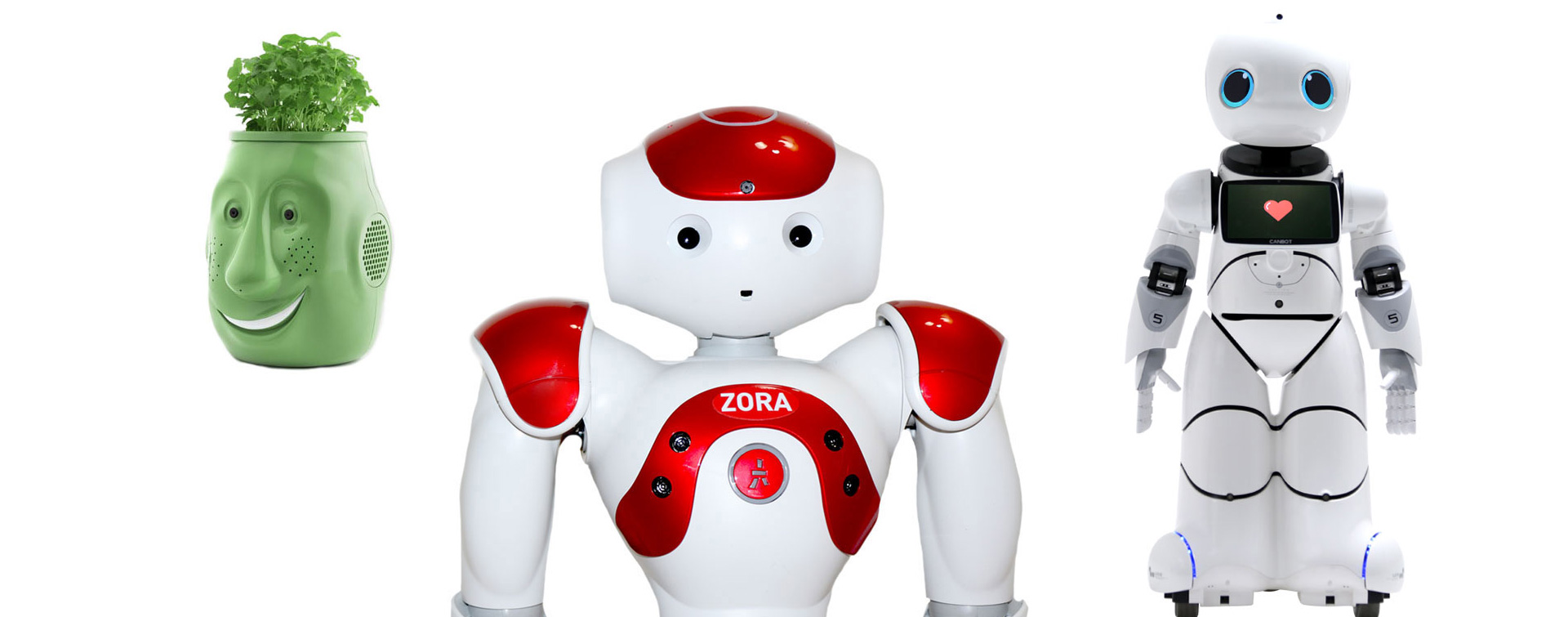 zora -robot
